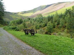 Image on trail